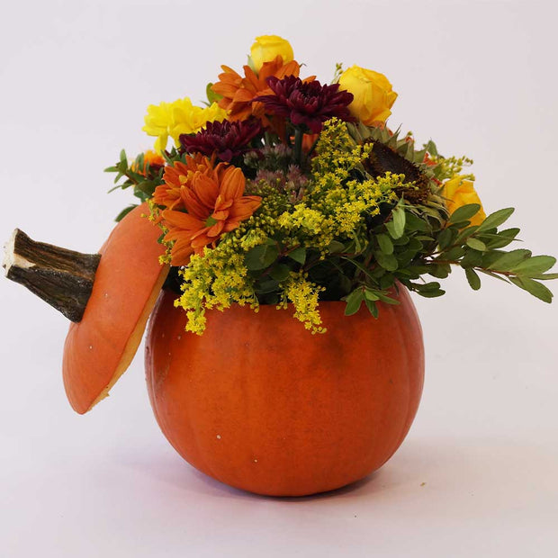 Natural orange pumpkin