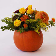 Natural orange pumpkin