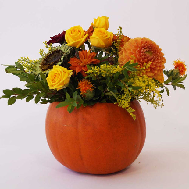 Natural orange pumpkin