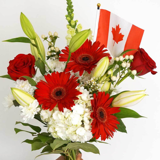 This luxurious bouquet of vibrant red and pristine white flowers serves as an ideal gift to congratulate someone on their new permanent residency or citizenship.