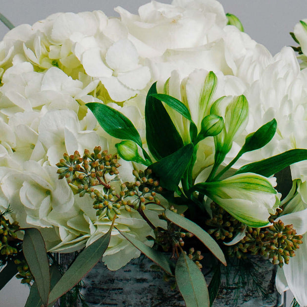 White flowers like hydrangea, rose, disbud and alstroemeria are surrounded by the nice smell of the eucalyptus. You can send your condolences to your loved ones in Port Moody with this elegant arrangement.