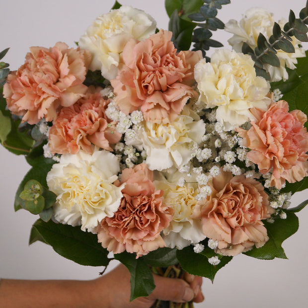 Carnations bouquet. These gorgeously fluffy blooms are still a favourite flower for any occasion; accented with baby's breath, the pretty tiny white flower.