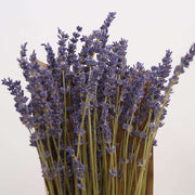 Dried lavender bundle - Elderberry Floral