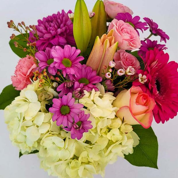 An irresistible array of white, blush, and pink cut flowers, beautifully arranged in a charming pink cube vase.