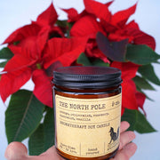 Red poinsettia + soy candle