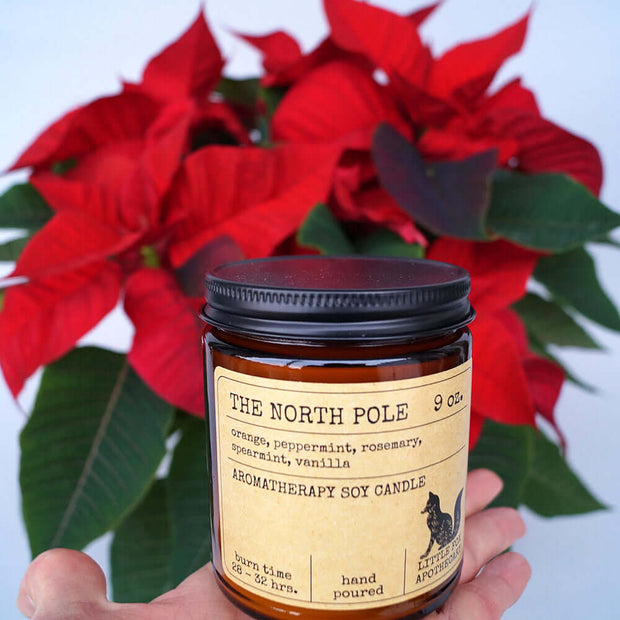 Red poinsettia + soy candle