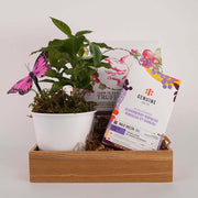 Sunrays gift box - Elderberry Floral