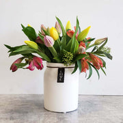 Colourful tulips with alstroemeria in a ceramic vase.