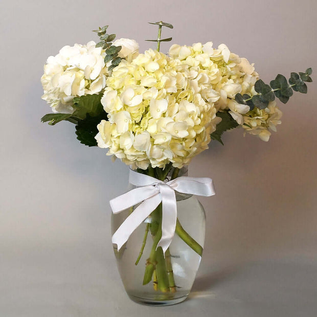 White hydrangeas and eucalyptus arranged in a clear vase. This basic yet elegant arrangement is a nice addition to any place at home or for sending your support in difficult times.